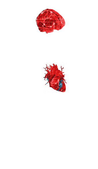 start animation first keyframe